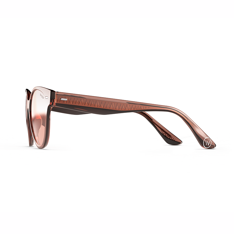 Catnap Eclipse Frames with Evening Lenses