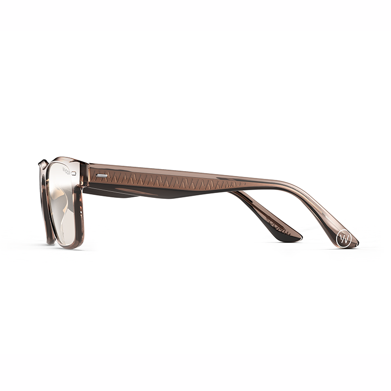 Remy Dusk Frames with All-Day Lenses