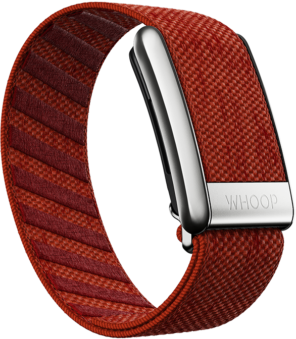Jetty SuperKnit Luxe Band
