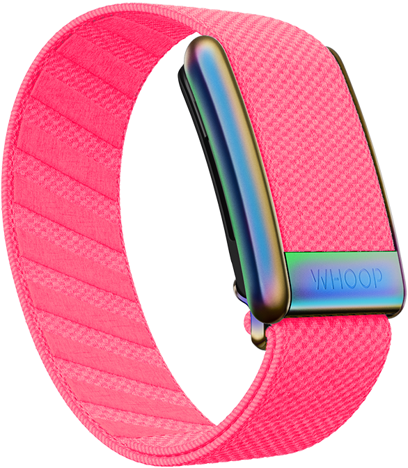 Taffy SuperKnit Band